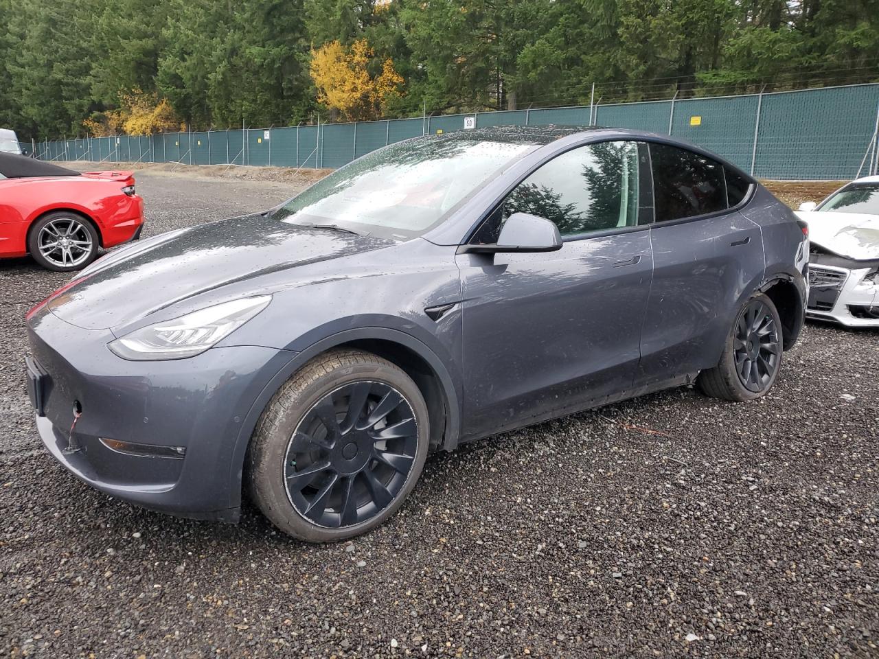 TESLA MODEL Y
