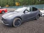 Lot #3304865539 2022 TESLA MODEL Y