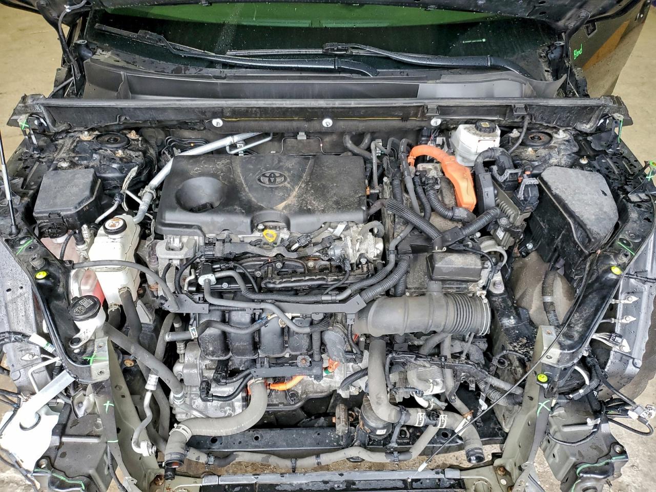 Lot #3315688717 2022 TOYOTA RAV4 LE