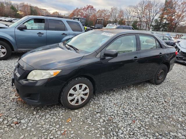 Global Auto Auctions: 2010 TOYOTA COROLLA BA