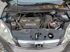Lot #3305323335 2009 HONDA CR-V EX