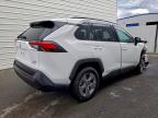 Lot #3312781090 2025 TOYOTA RAV4 XLE