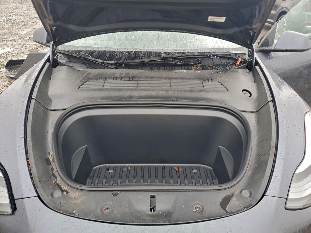 Lot #3301818347 2023 TESLA MODEL Y