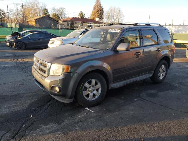 Global Auto Auctions: 2010 FORD ESCAPE LIM