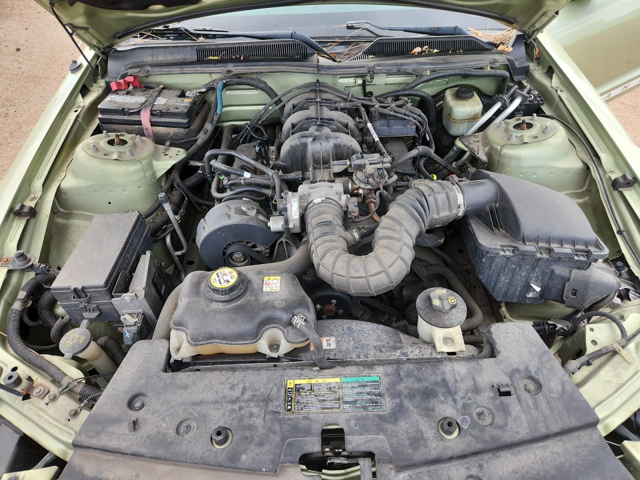 Lot #3296640034 2005 FORD MUSTANG