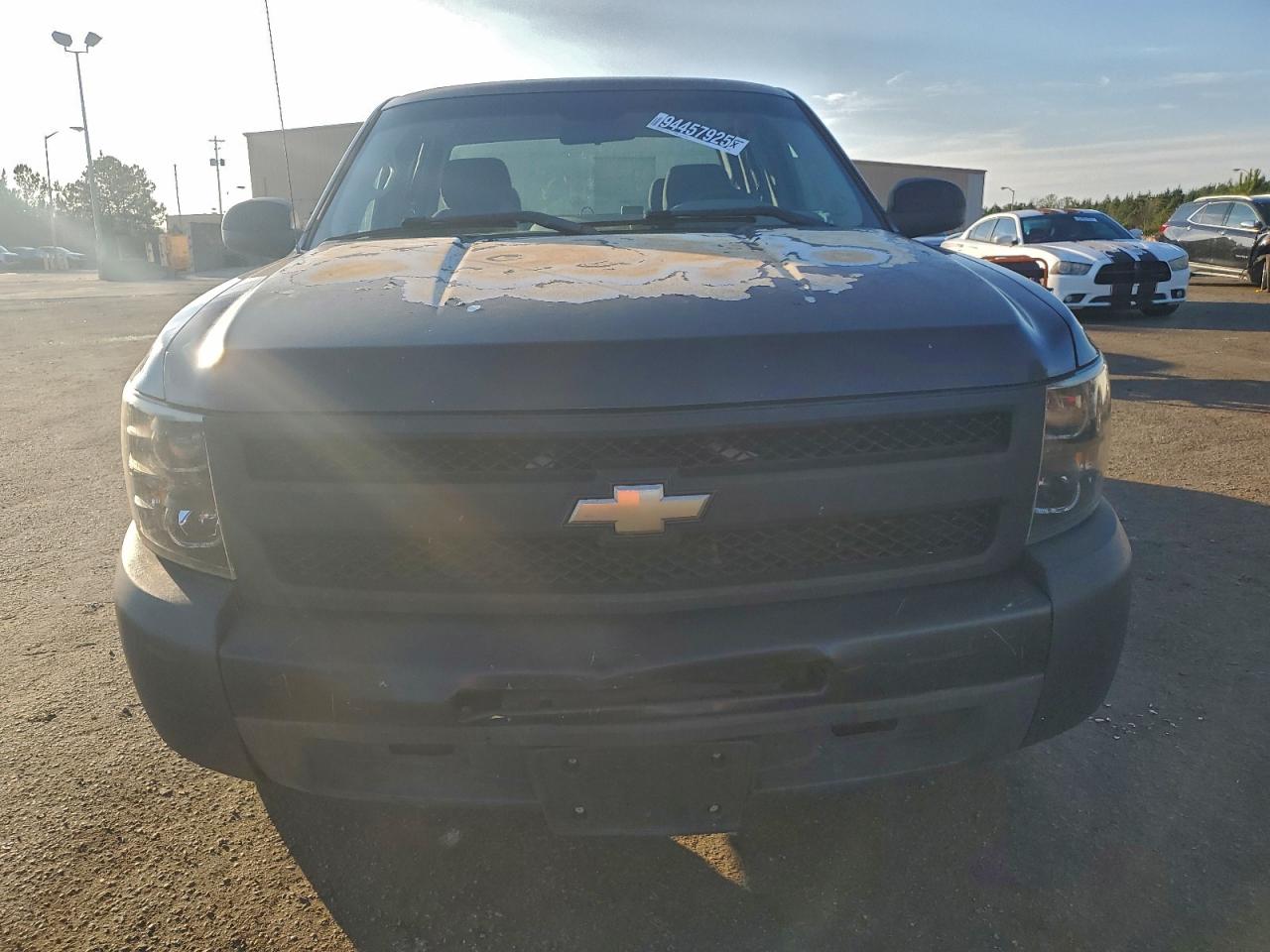 Lot #3311488269 2009 CHEVROLET SILVERADO