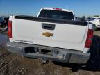 Lot #3318065387 2013 CHEVROLET SILVERADO