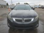 Lot #3303877693 2010 HONDA ACCORD EXL