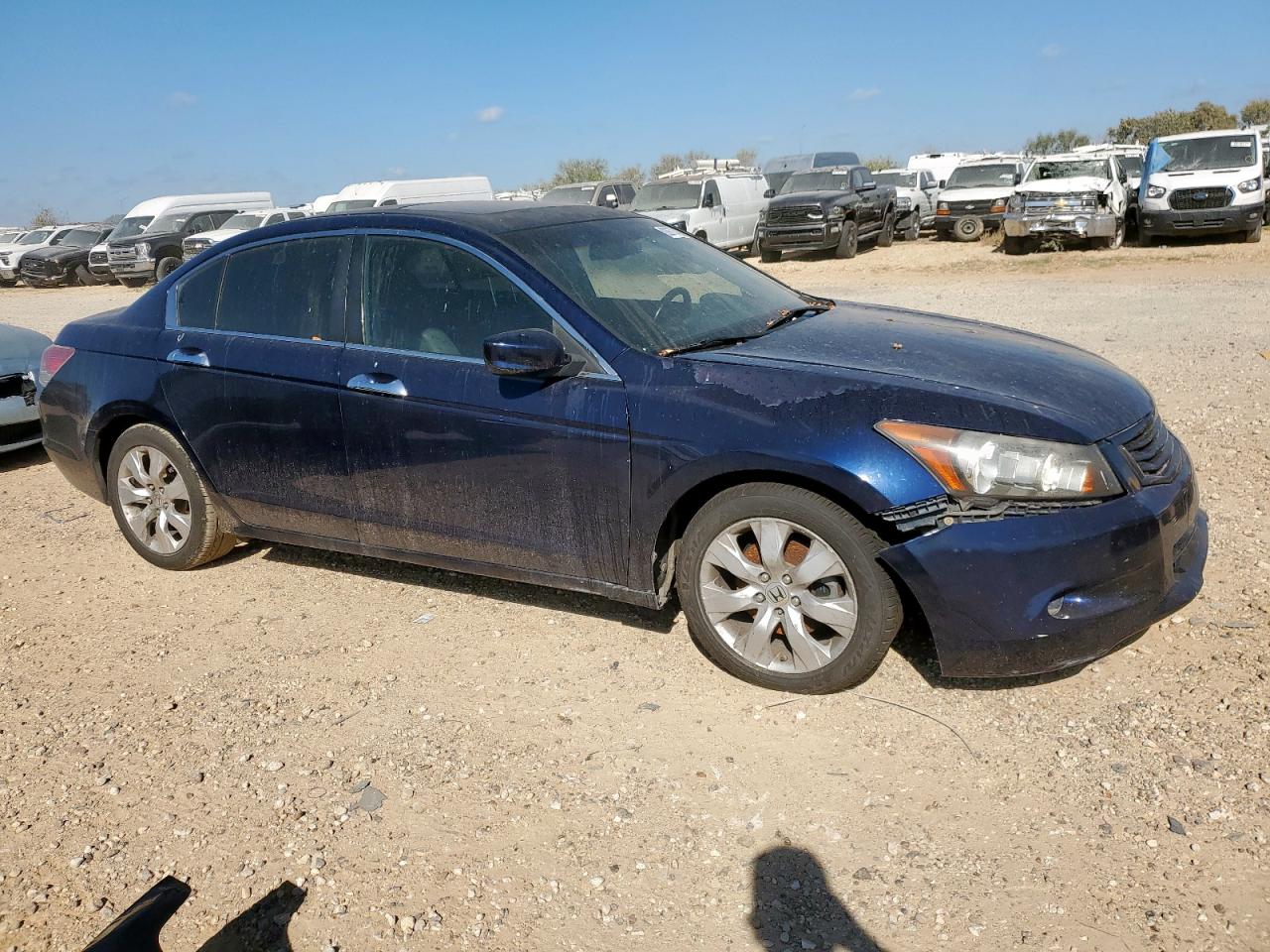 Lot #3287486001 2008 HONDA ACCORD EXL