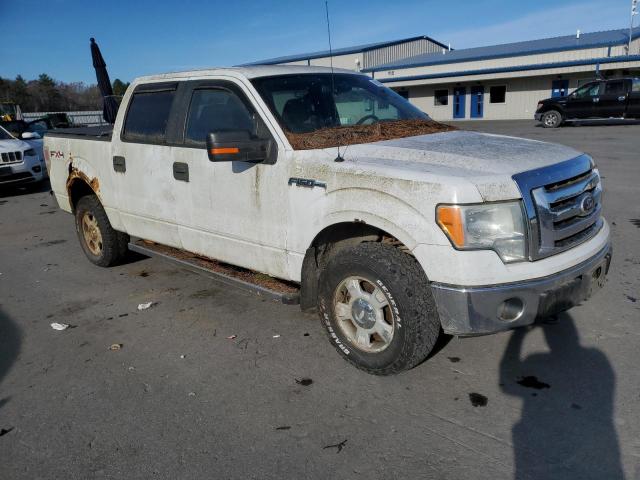 2010 FORD F150 SUPER #3293416053