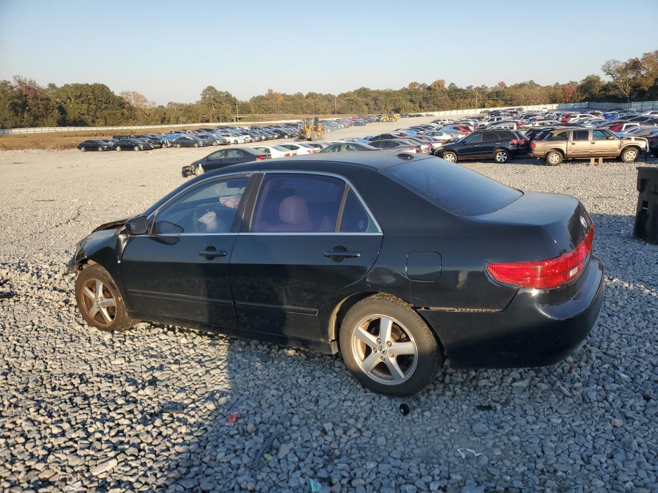 Lot #3304616472 2005 HONDA ACCORD EX
