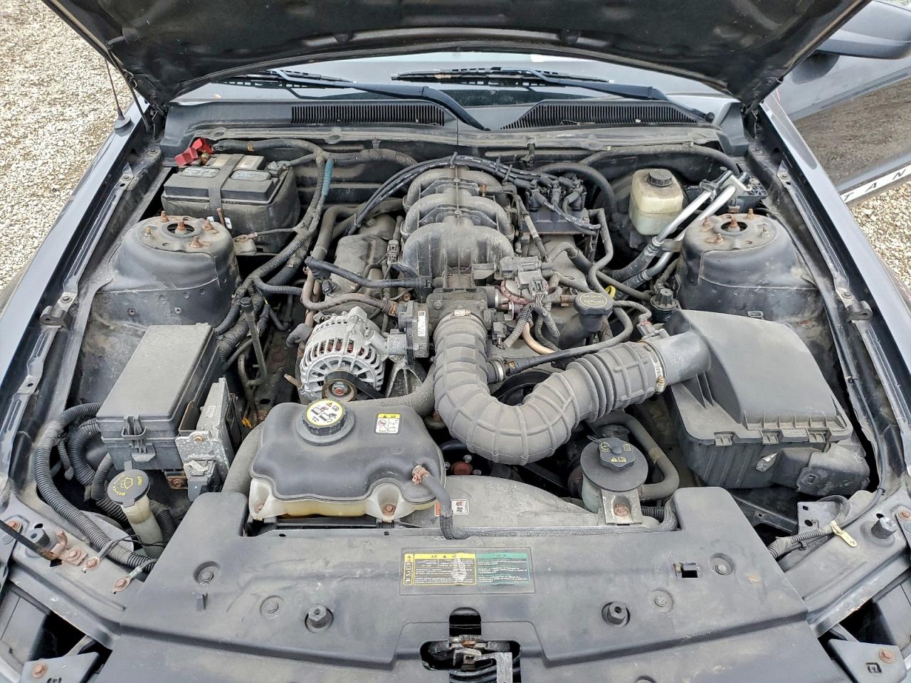 Lot #3298234057 2008 FORD MUSTANG