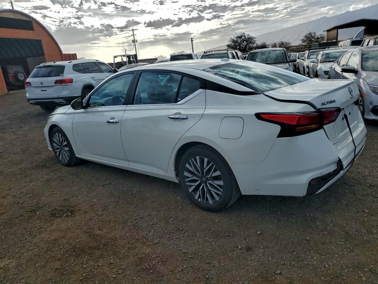 Lot #3303636929 2025 NISSAN ALTIMA SV