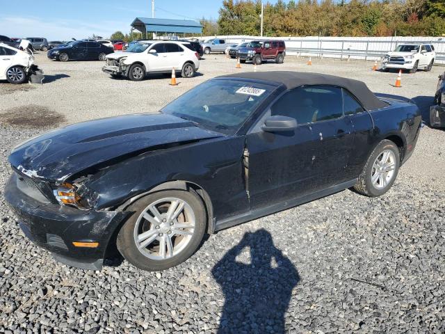 Global Auto Auctions: 2010 FORD MUSTANG