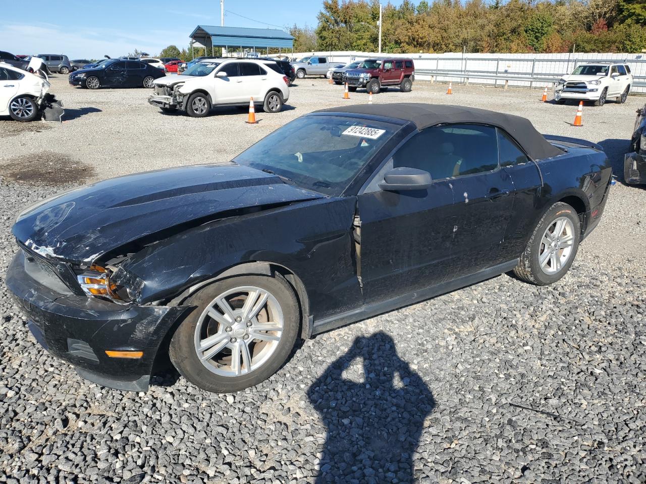 Lot #3287598030 2010 FORD MUSTANG