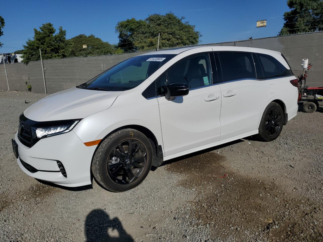HONDA ODYSSEY SPORT