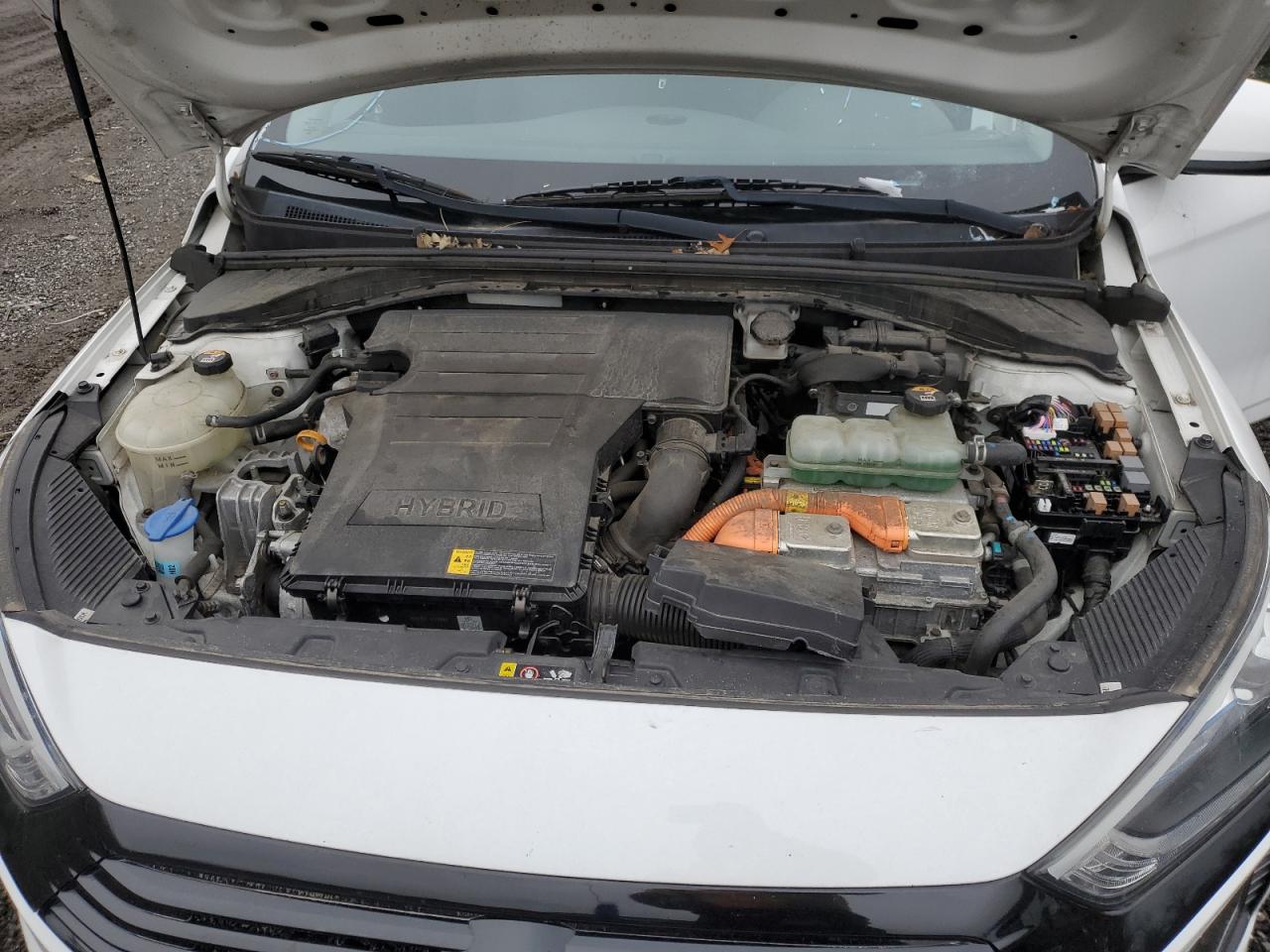 Lot #3310438296 2019 HYUNDAI IONIQ BLUE