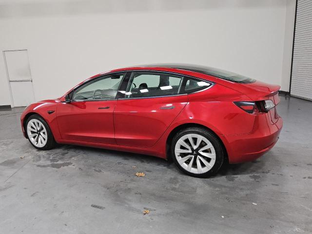 2023 TESLA MODEL 3 #3303696028