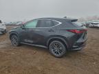 Lot #3294460499 2025 LEXUS NX 350H BA