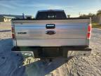 Lot #3293176149 2014 FORD F150 SUPER