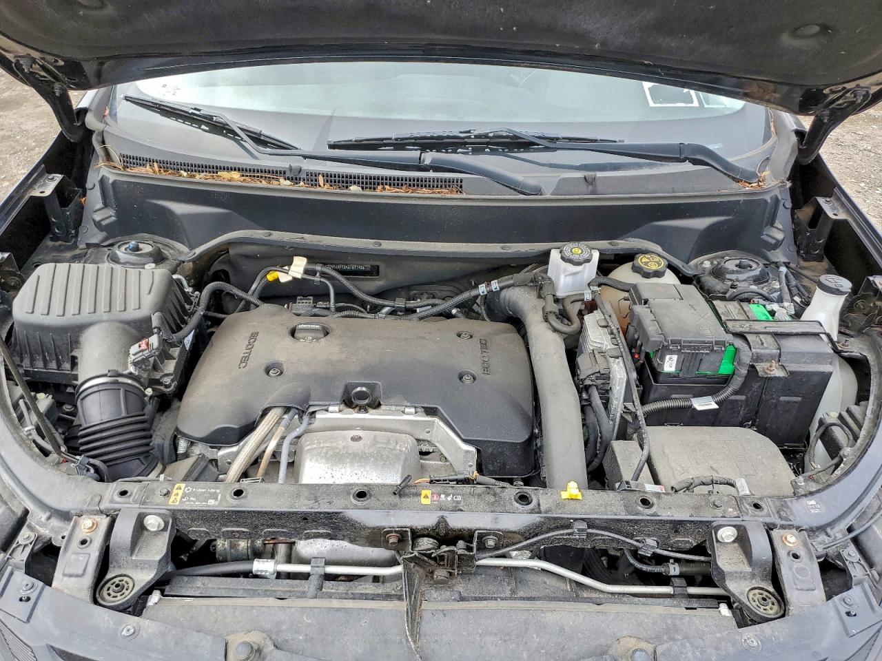 Lot #3317703164 2019 CHEVROLET EQUINOX LT