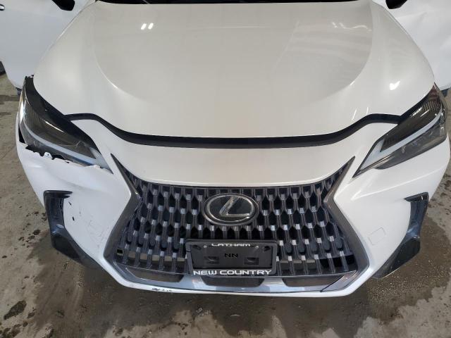 2024 LEXUS NX 350 BAS #3311517250