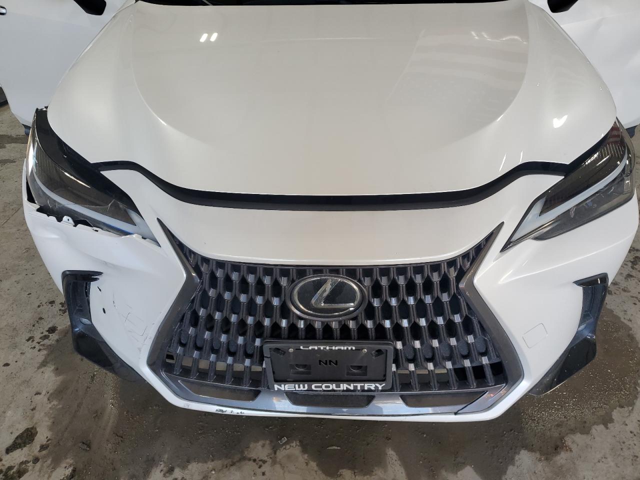 Lot #3311517250 2024 LEXUS NX 350 BAS