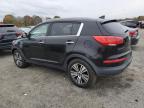 Lot #3312551851 2014 KIA SPORTAGE E