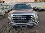 Lot #3305607722 2014 FORD F150 SUPER