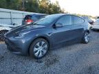 Lot #3309353017 2023 TESLA MODEL Y