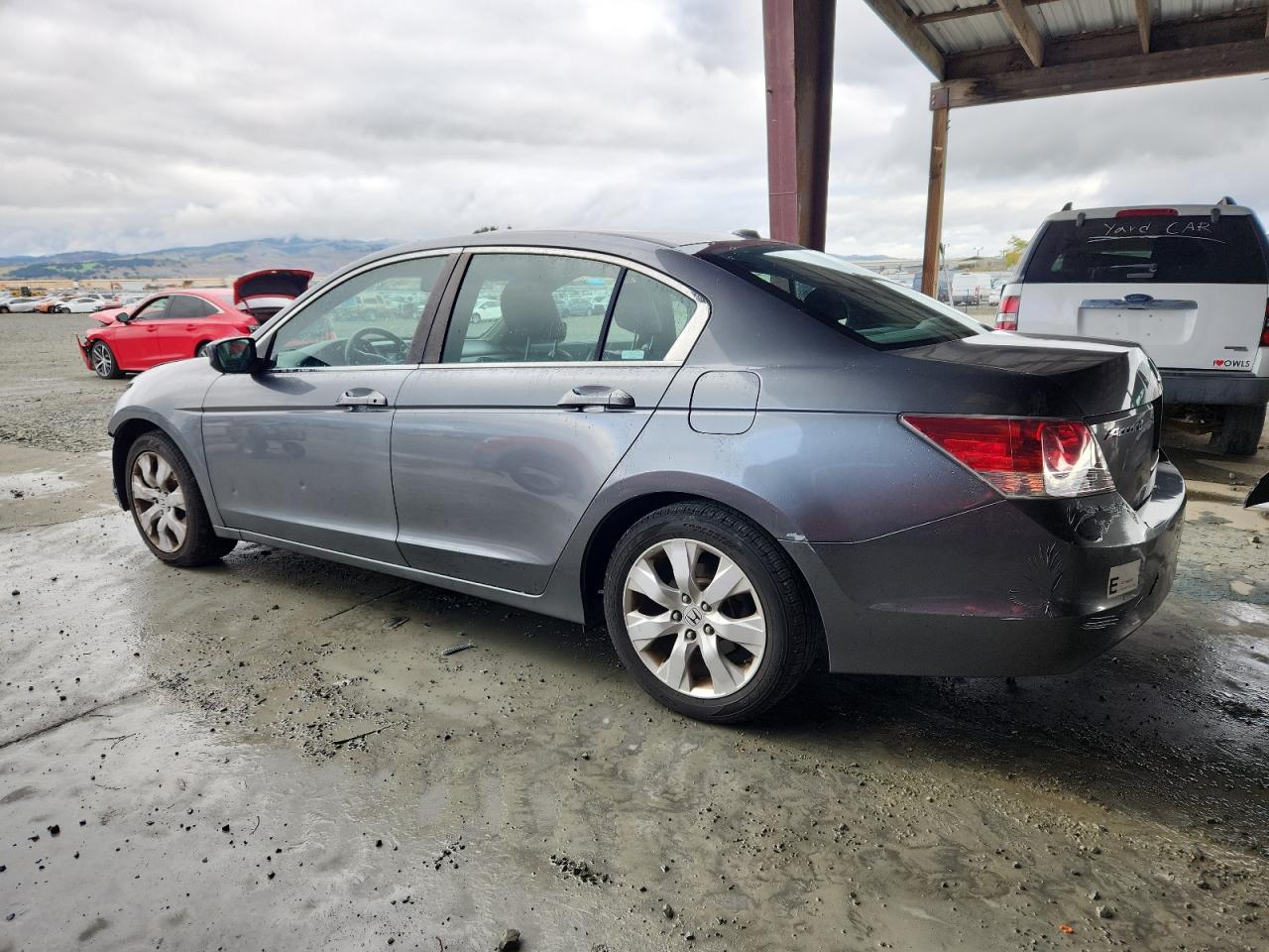 Lot #3302746041 2010 HONDA ACCORD EXL