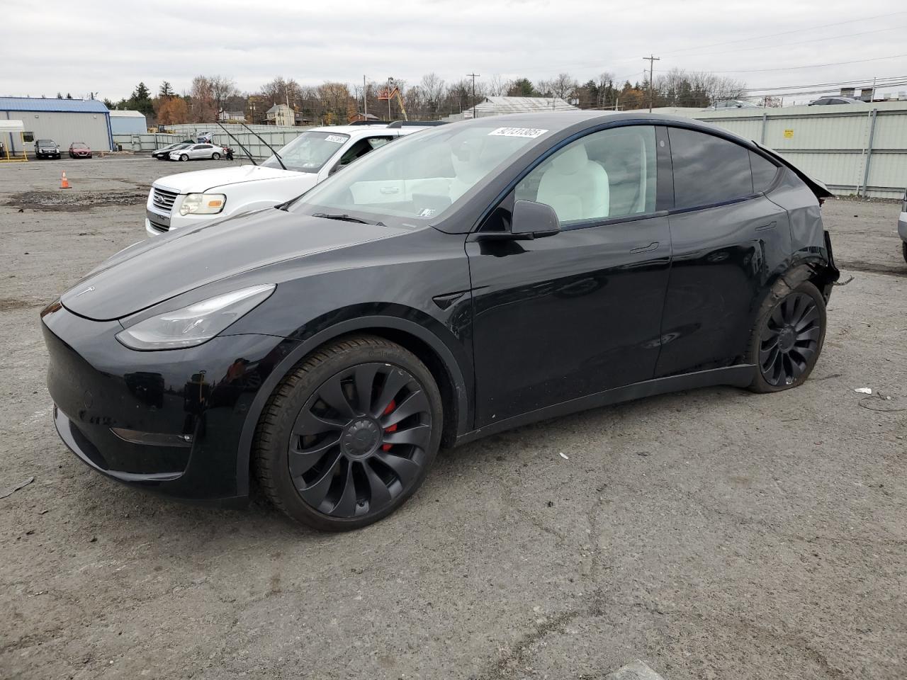 TESLA MODEL Y