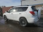Lot #3303570955 2008 TOYOTA RAV4