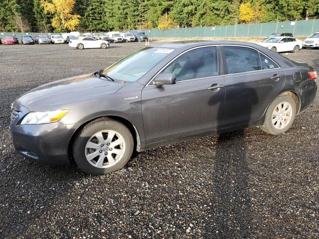 Global Auto Auctions: 2009 TOYOTA CAMRY HYBR