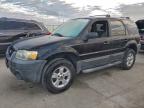 Lot #3305359304 2007 FORD ESCAPE XLT