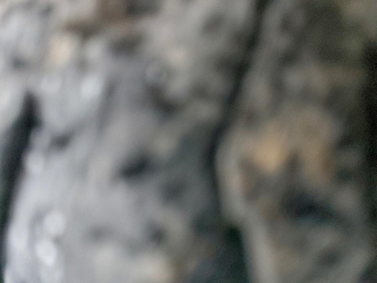 TOYOTA TUNDRA CREWMAX SR5