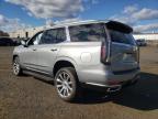 Lot #3305300350 2024 CADILLAC ESCALADE P
