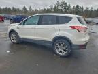Lot #3297999081 2013 FORD ESCAPE SEL