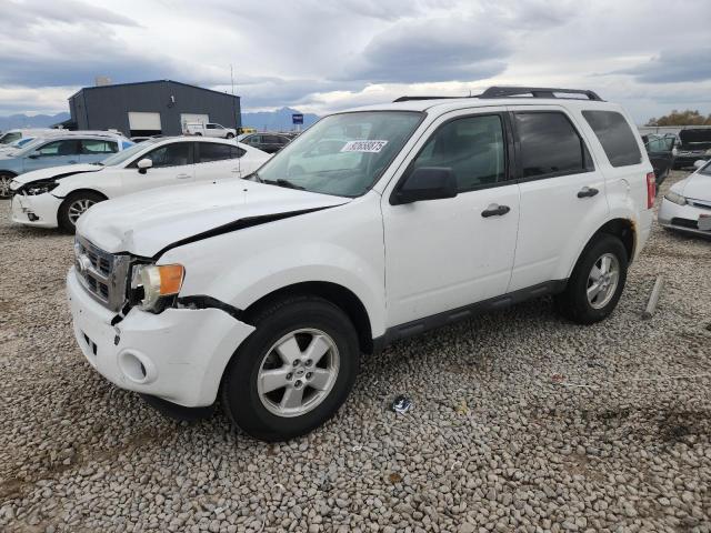 2010 FORD ESCAPE XLS #3302003104