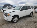 Lot #3302003104 2010 FORD ESCAPE XLS