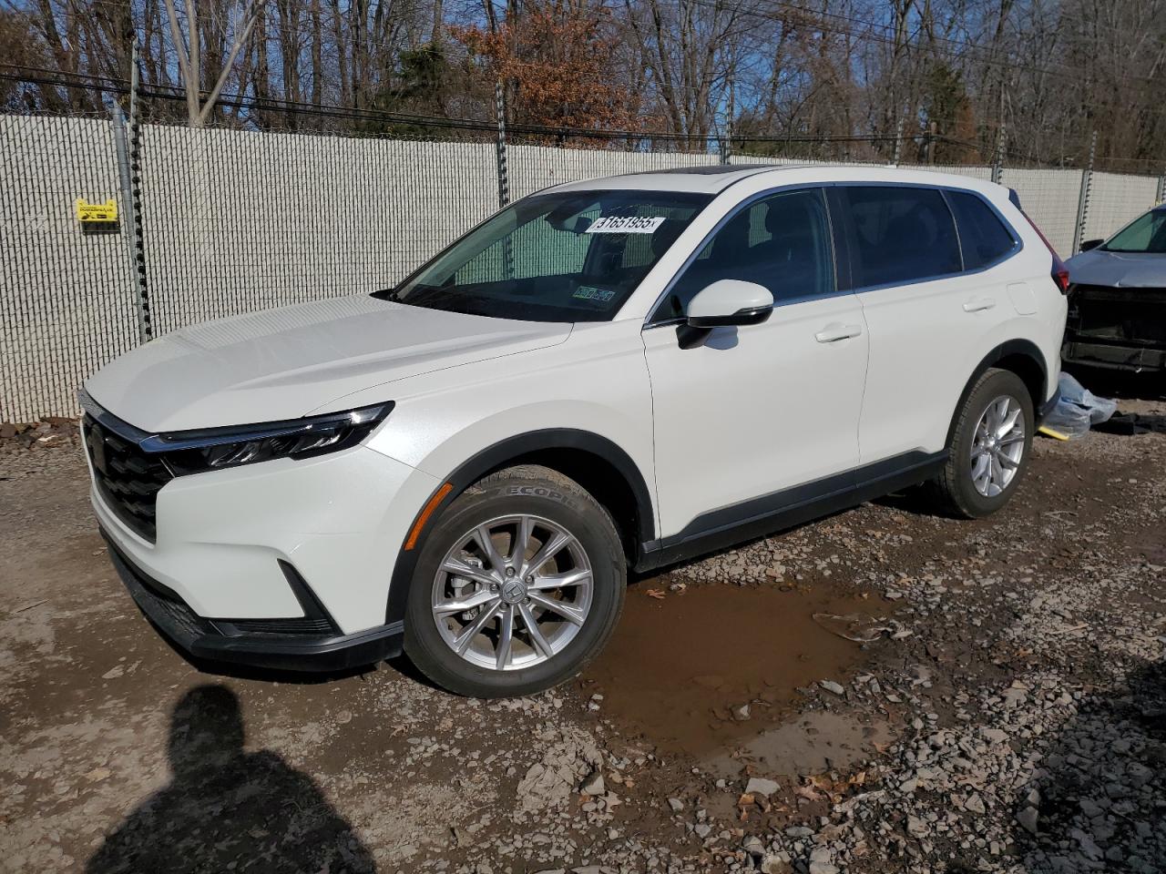 Lot #3301983457 2025 HONDA CR-V EX