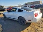 Lot #3304641947 2005 FORD MUSTANG