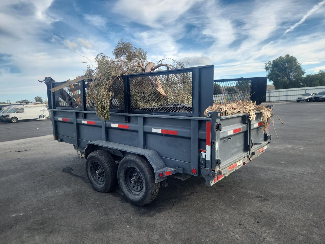 Lot #3315929129 2019 LDTR DUMP