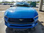 Lot #3303764418 2024 FORD MUSTANG