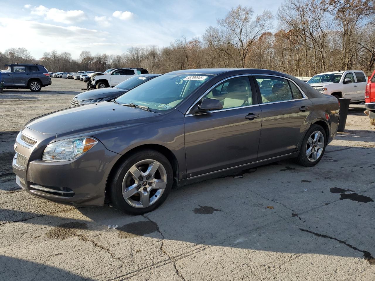 CHEVROLET MALIBU 1LT