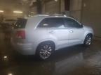 Lot #3303746422 2011 KIA SORENTO SX
