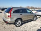 Lot #3303854550 2008 HONDA CR-V EX
