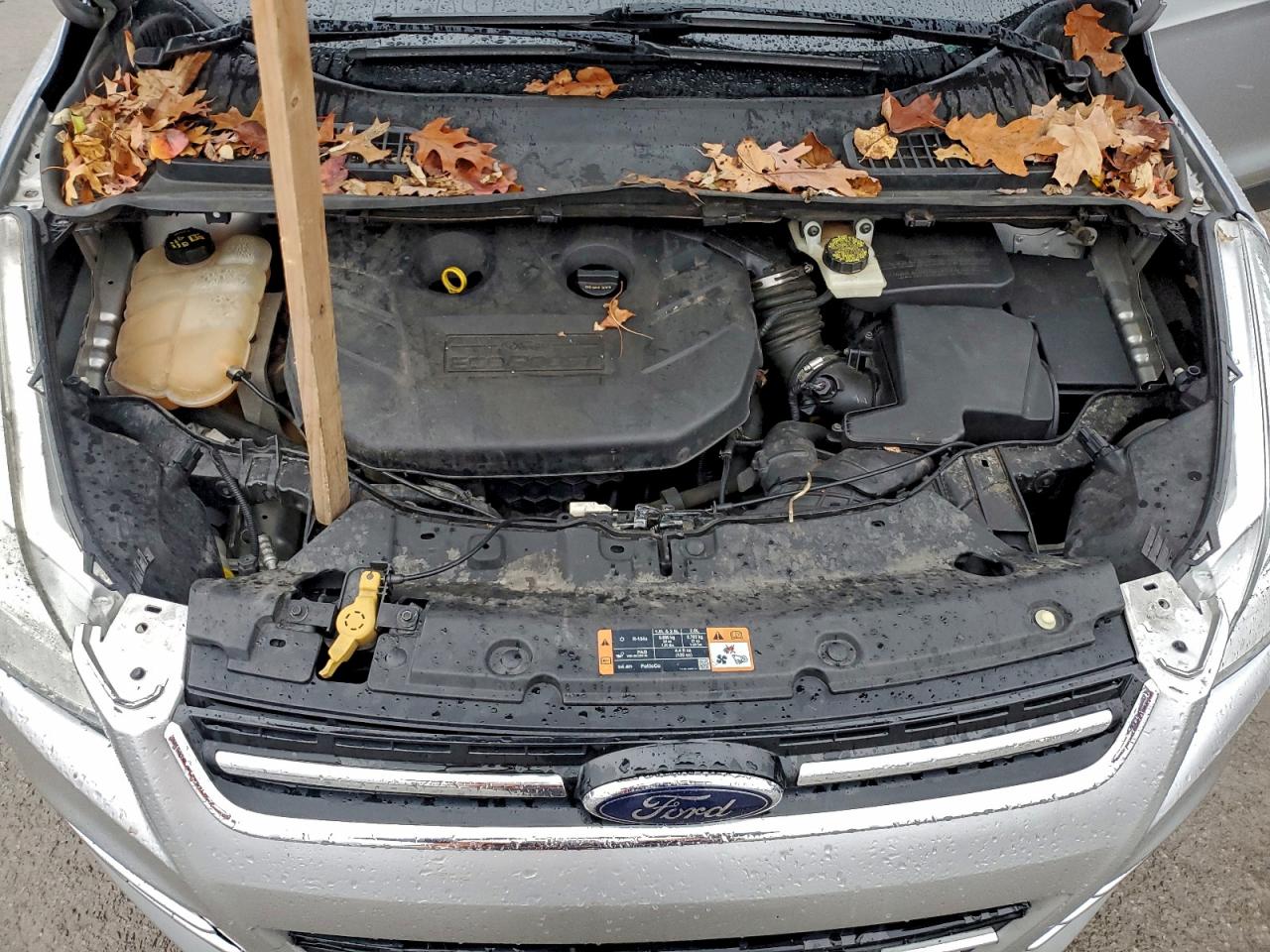 Lot #3296892823 2014 FORD ESCAPE TIT