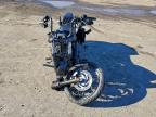 Lot #3305603858 2020 HARLEY-DAVIDSON FXBB