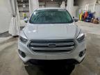 Lot #3301609682 2019 FORD ESCAPE SE